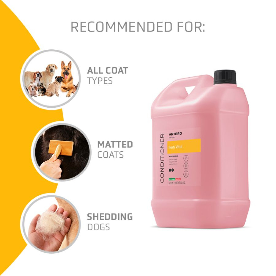 ARTERO Professioneller Vital-Conditioner "IKON" 5 Liter – Bild 2