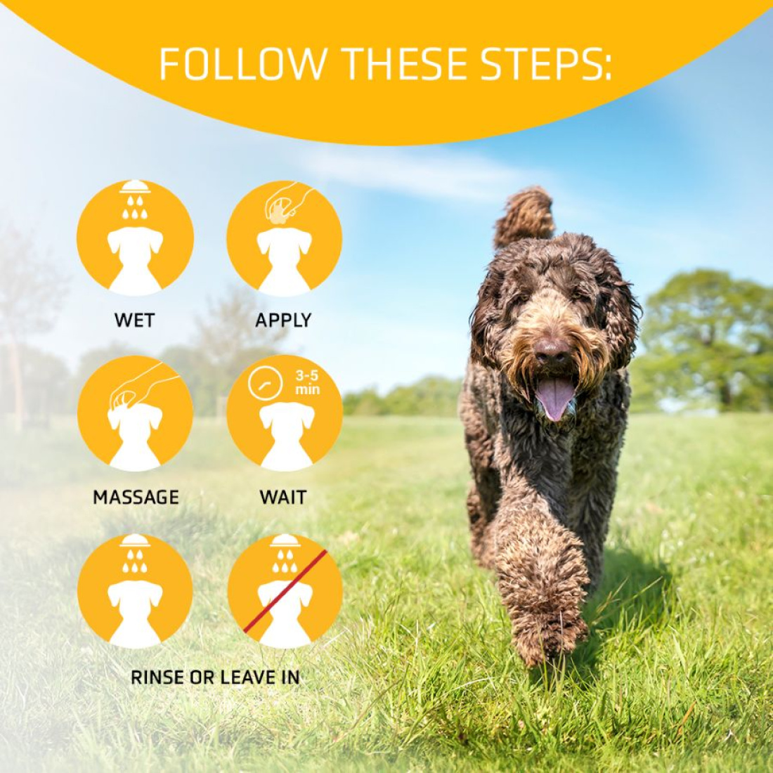 ARTERO Professioneller Vital-Conditioner "IKON" 5 Liter – Bild 3