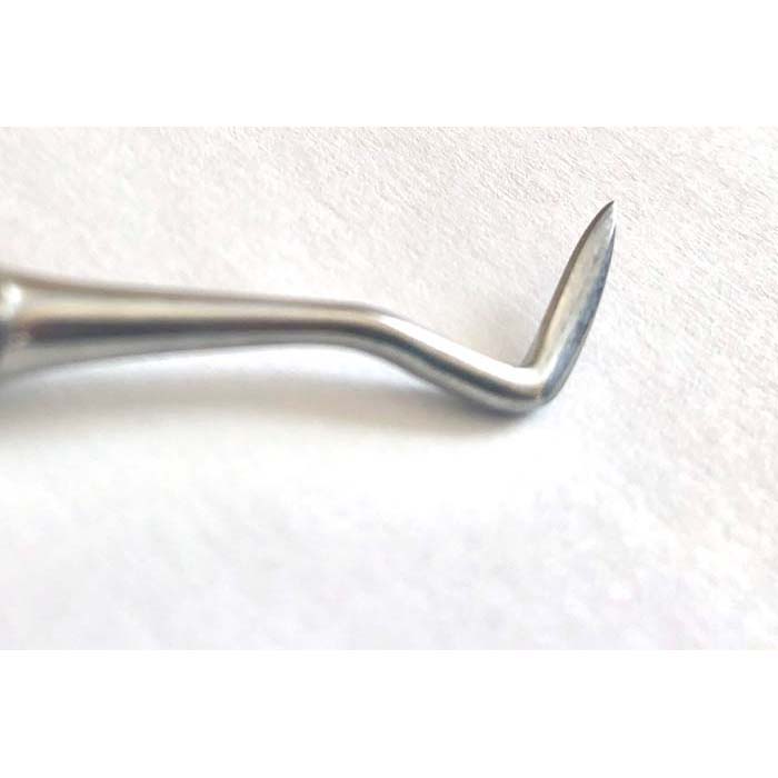 Hunde Zahnsteinentferner mit Doppelhaken – Bild 2