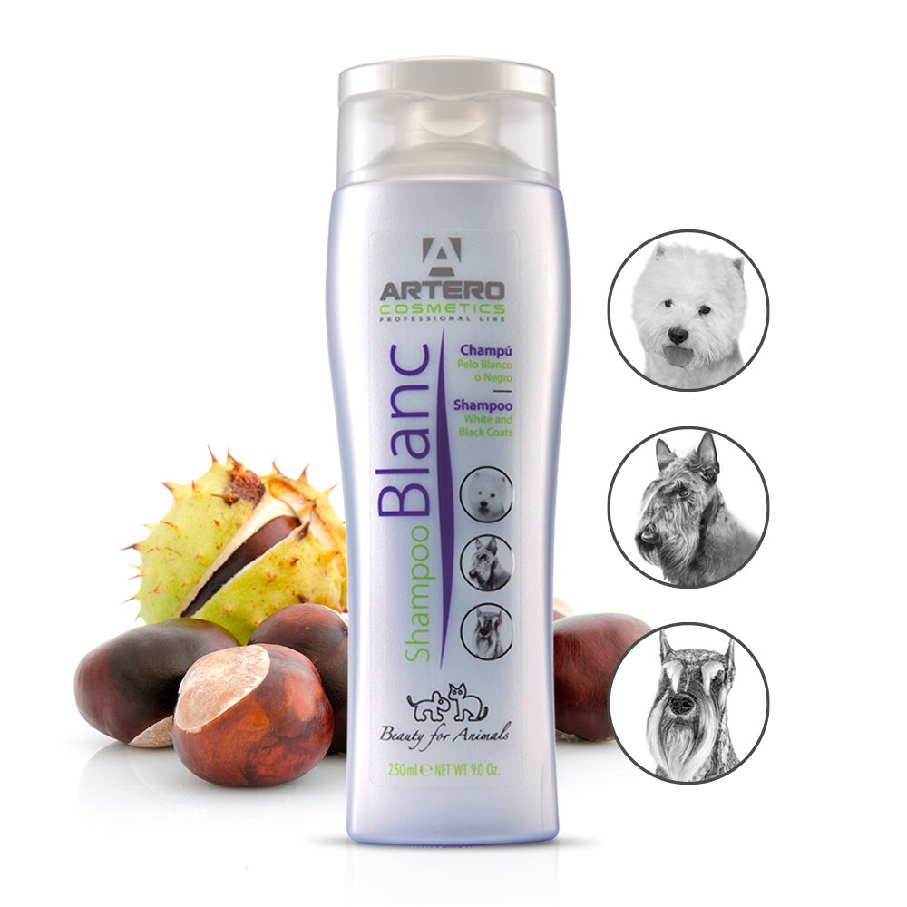 ARTERO Blanc Shampoo 250ml – Bild 6