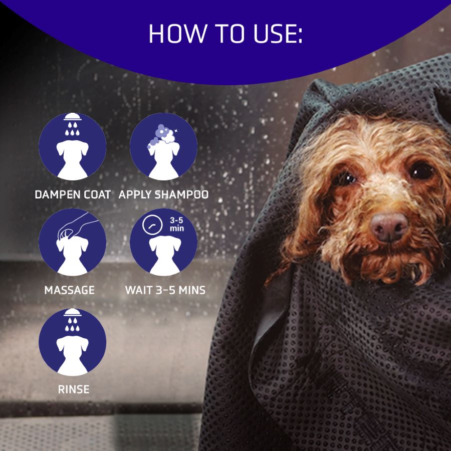 ARTERO Blanc Shampoo 250ml – Bild 2