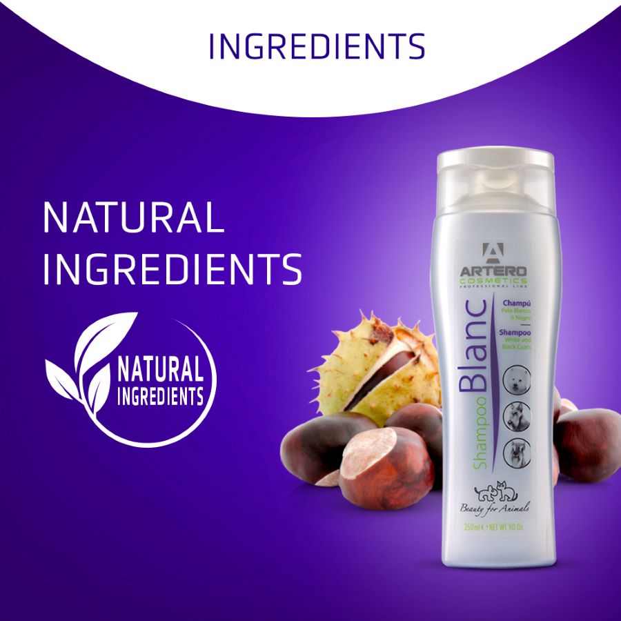 ARTERO Blanc Shampoo 250ml – Bild 4