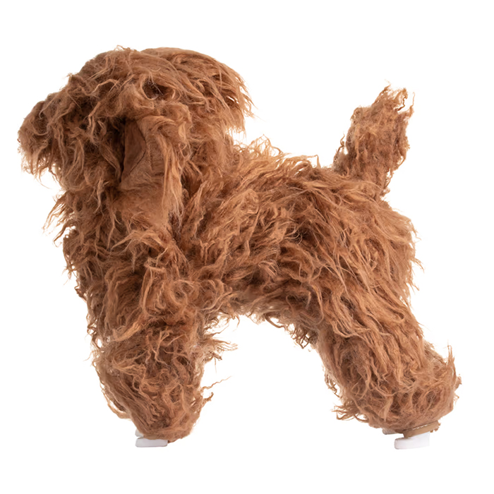 Mr. Jiang Pudel Ganzkörperhaar Lamm – Ersatzhaar Pudel-Pflegepuppe, Fawn