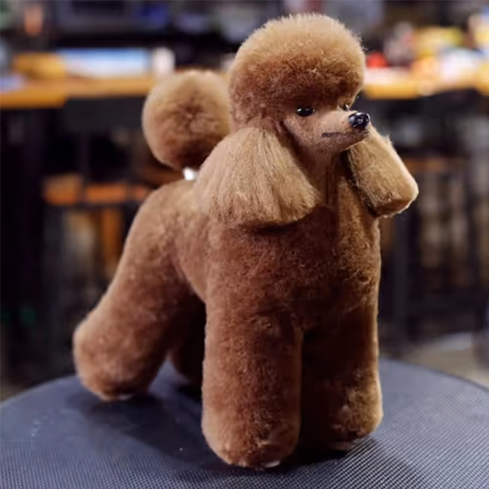 Mr. Jiang Pudel Ganzkörperhaar Lamm – Ersatzhaar Pudel-Pflegepuppe, Fawn – Bild 3