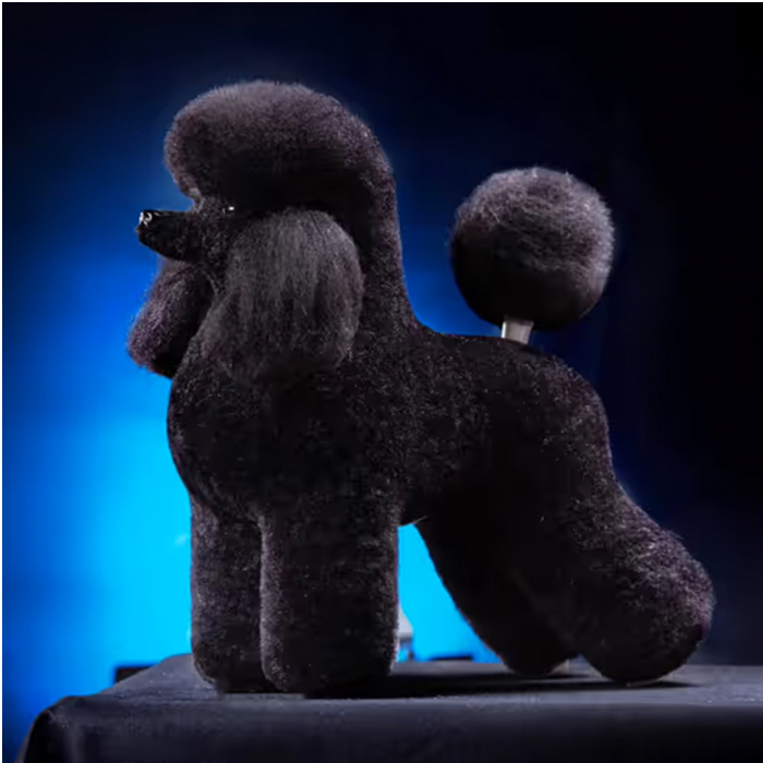 Mr. Jiang Pudel Ganzkörperhaar Lamm – Ersatzhaar Pudel-Pflegepuppe, schwarz – Bild 2