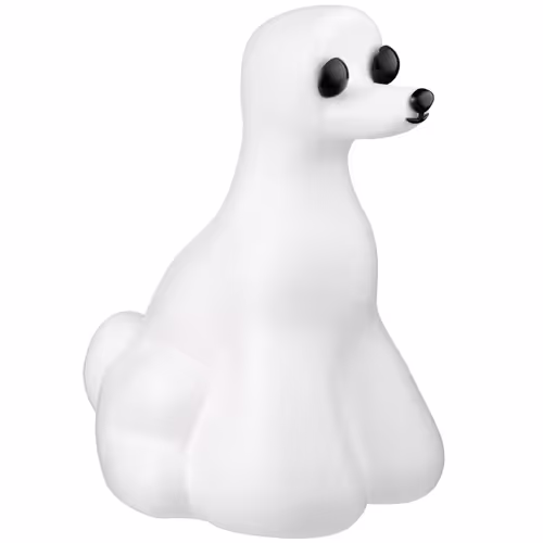 Mr. Jiang Modelhund Kopf