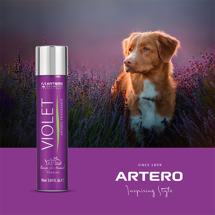 Artero Parfüm Violet 90 ml