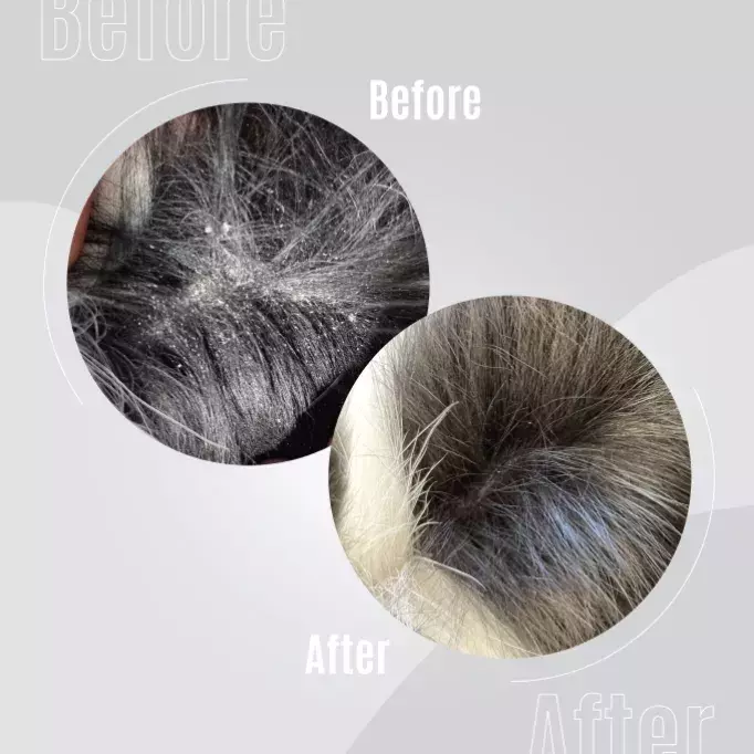 TAURO PRO LINE Pure Nature Calming Elixier No. 2 – Bild 3