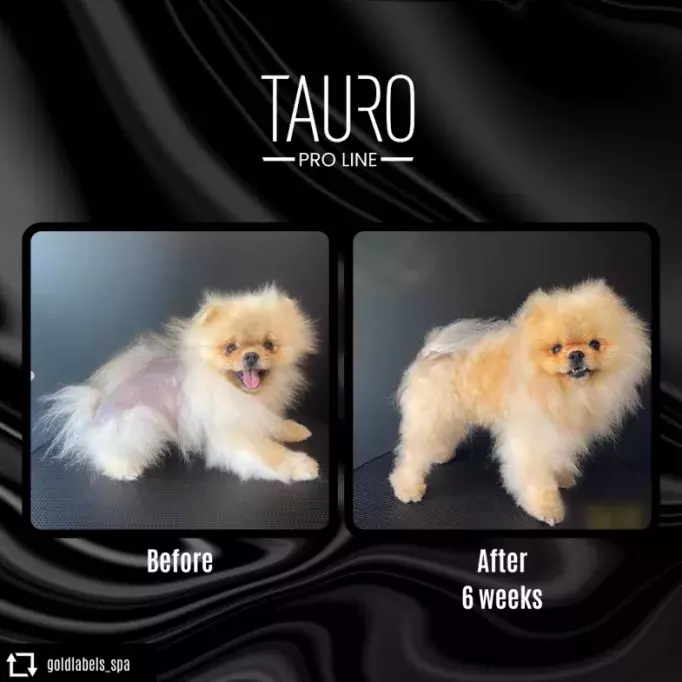 TAURO PRO LINE Pure Energizing Elixir No. 4 – Bild 3